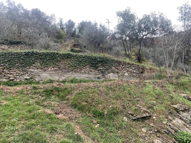 Villa Indipendente in vendita a Polanesi, Recco