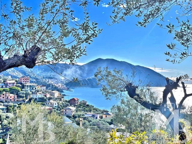 Villa Indipendente in vendita a Polanesi, Recco
