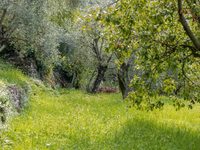 Villa Indipendente in vendita a Case Stella, Recco