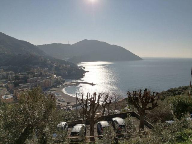 Villa Indipendente in vendita a Polanesi, Recco