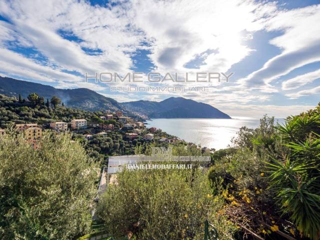 Villa Indipendente in vendita a Polanesi, Recco