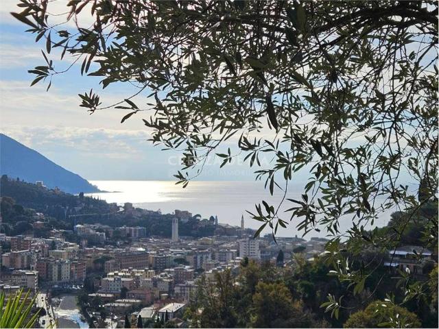 Villa Indipendente in vendita a Polanesi, Recco