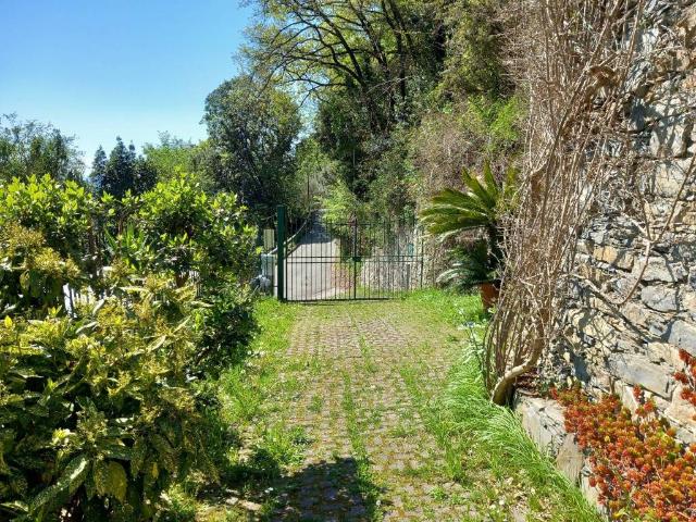 Villa Indipendente in vendita a Polanesi, Recco