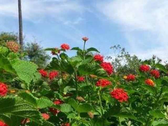 Villa Indipendente in vendita a Canali, Re