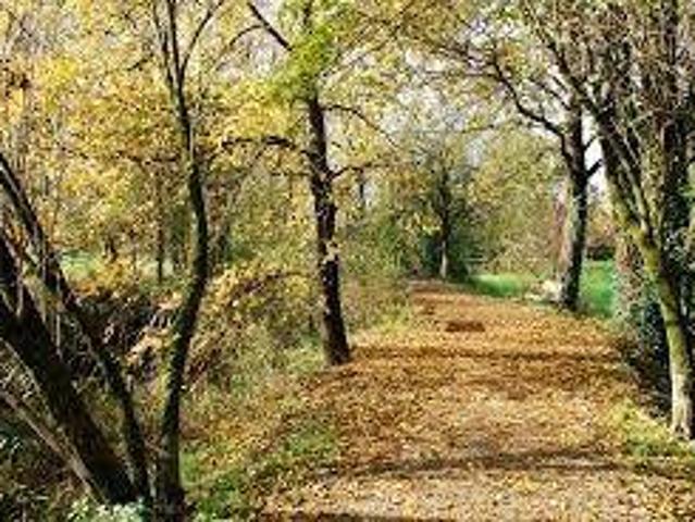 Villa Indipendente in vendita a Villaggio Stranieri-Bazzarola, Re