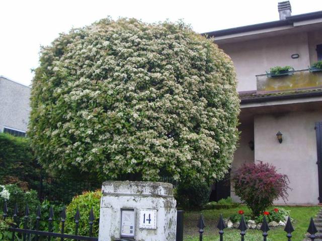Villa Indipendente in vendita a Bassa Reggiana, Re