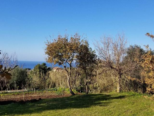 Villa Indipendente in vendita a Calabria, Vibo Valentia