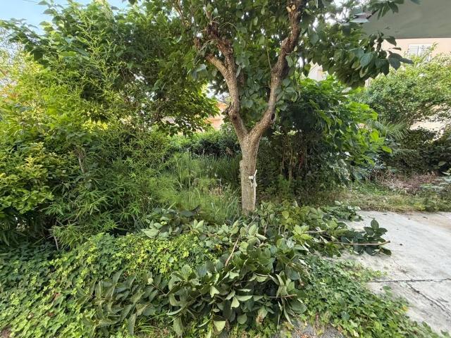 Villa Indipendente in vendita a San Lorenzo in Strada, Riccione