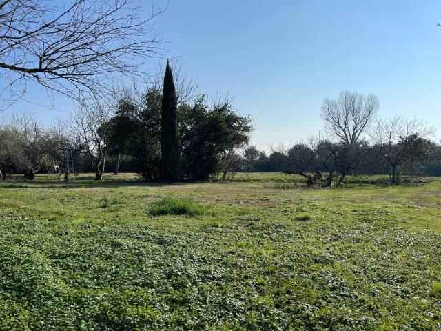 Villa Indipendente in vendita a Riccione, Reggio Emilia