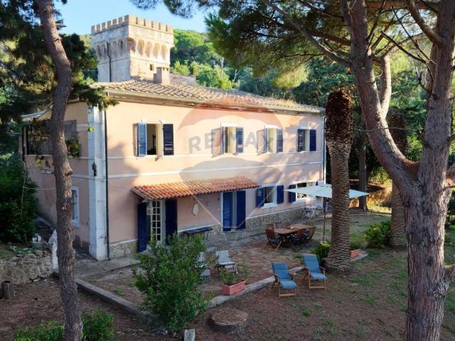 Villa Indipendente in vendita a Rio, Toscana