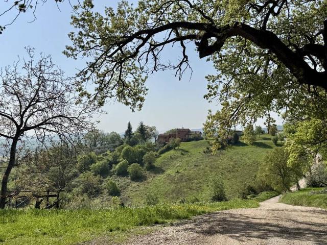 Villa Indipendente in vendita a Marche, Macerata