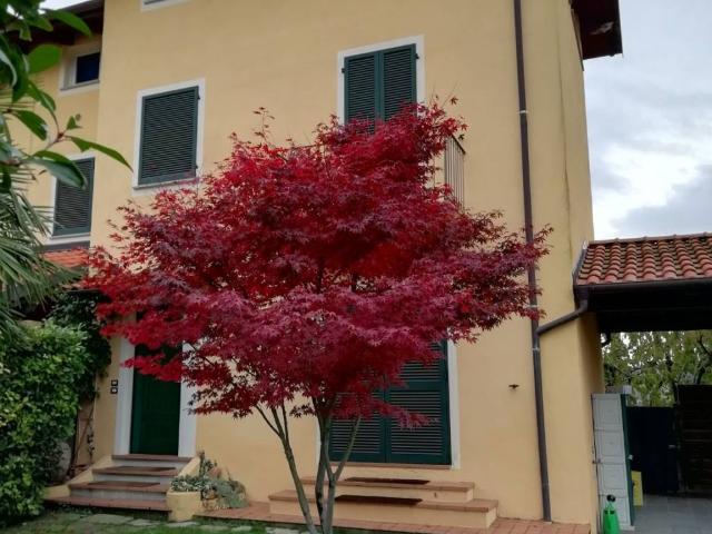 Villa Indipendente in vendita a Piemonte, Vercelli