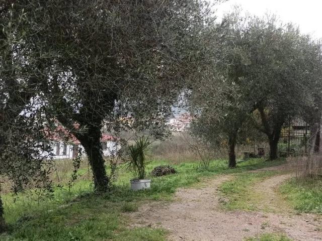 Villa Indipendente in vendita a Rocca D'evandro, Campania