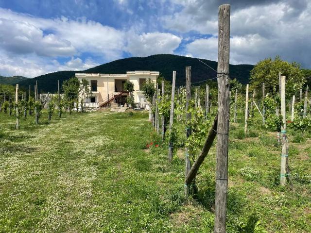 Villa Indipendente in vendita a Roccarainola, Campania