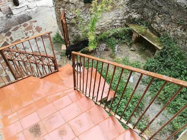 Villa Indipendente in vendita a Calabria, Cosenza