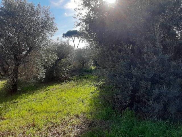 Villa Indipendente in vendita a Municipio Roma XV, Roma Capitale