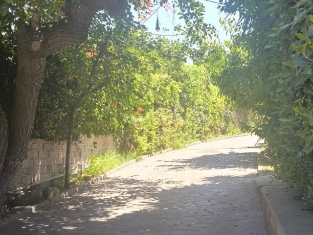 Villa Indipendente in vendita a Municipio Roma IX, Roma Capitale