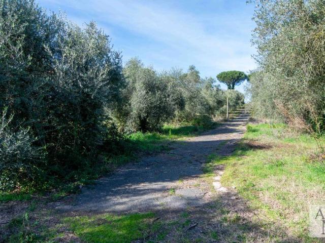 Villa Indipendente in vendita a Municipio Roma XV, Roma Capitale