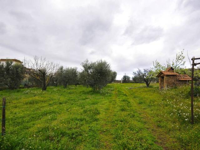 Villa Indipendente in vendita a Finocchio, Roma Capitale