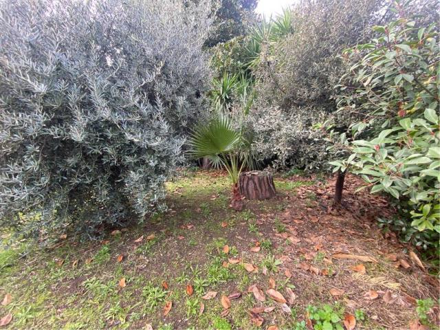 Villa Indipendente in vendita a Municipio Roma VI, Roma Capitale