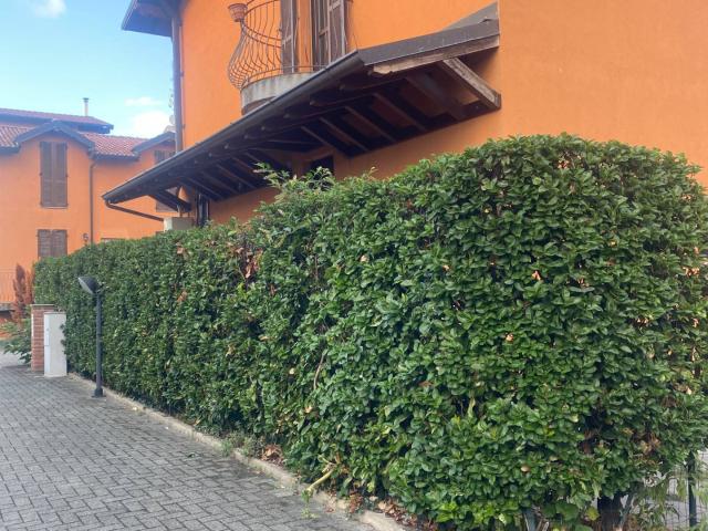 Villa Indipendente in vendita a Romentino, Novara