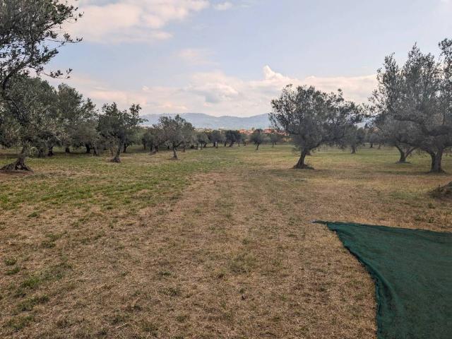 Villa Indipendente in vendita a Rosciano, Abruzzo