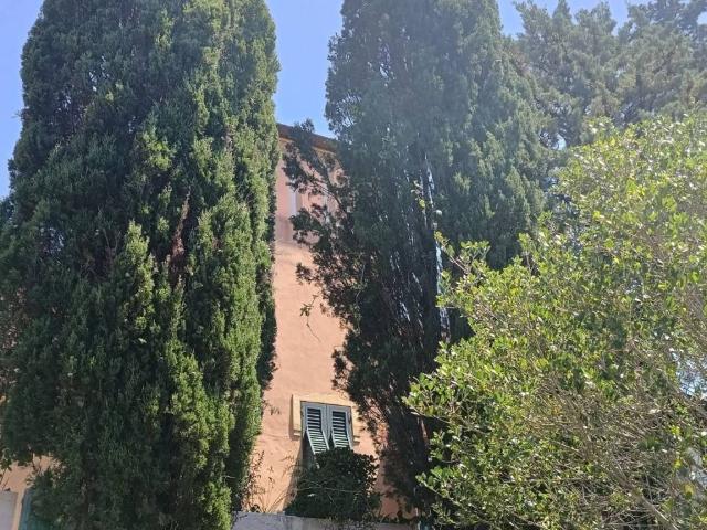 Villa Indipendente in vendita a Località Fontanelle, Rosignano Marittimo