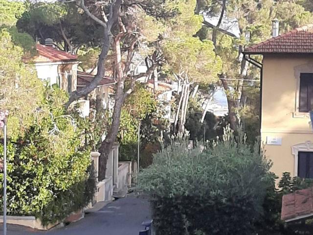 Villa Indipendente in vendita a Rosignano Marittimo, Toscana