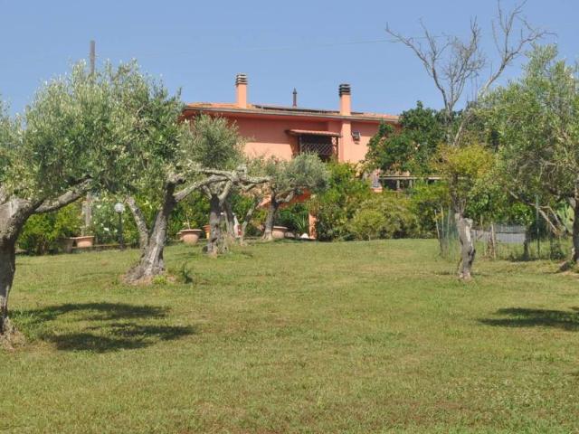 Villa Indipendente in vendita a Cafaggio, Rosignano Marittimo