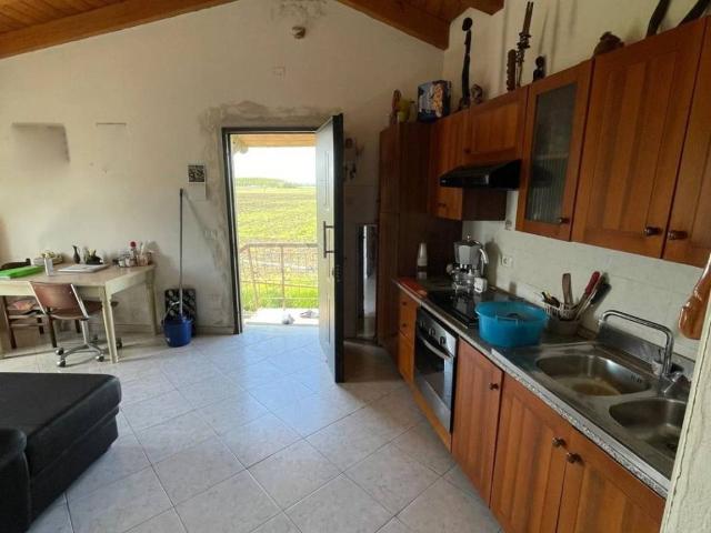 Villa Indipendente in vendita a Roverchiara, Veneto