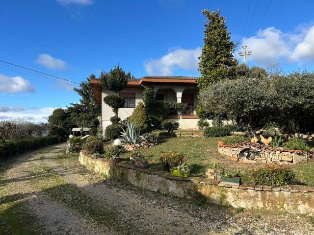 Villa Indipendente in vendita a Roverchiara, Veneto