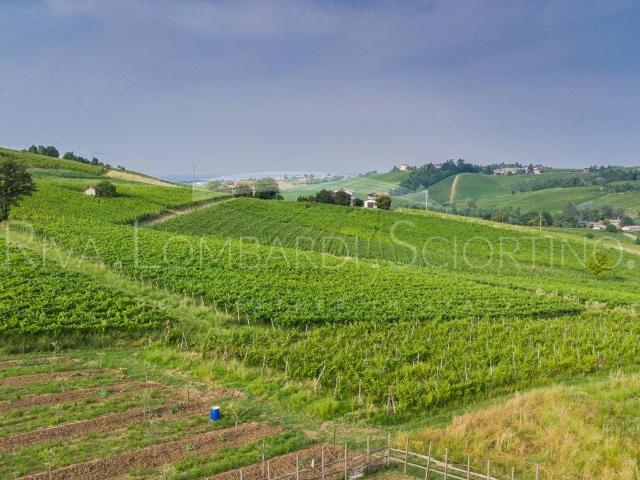 Villa Indipendente in vendita a Rovescala, Lombardia