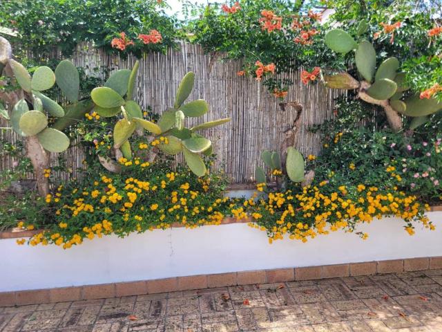 Villa Indipendente in vendita a Belsito, Sabaudia