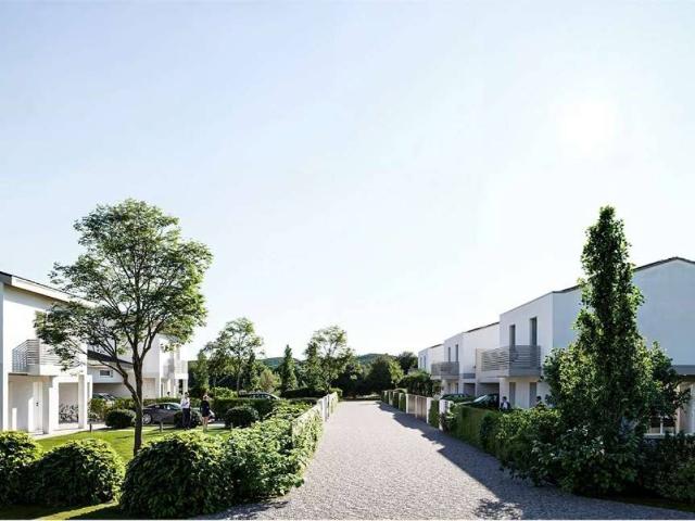 Villa Indipendente in vendita a Creola, Saccolongo