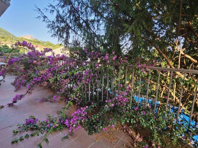 Villa Indipendente in vendita a Salerno, Campania