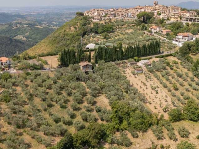 Villa Indipendente in vendita a Salisano, Lazio
