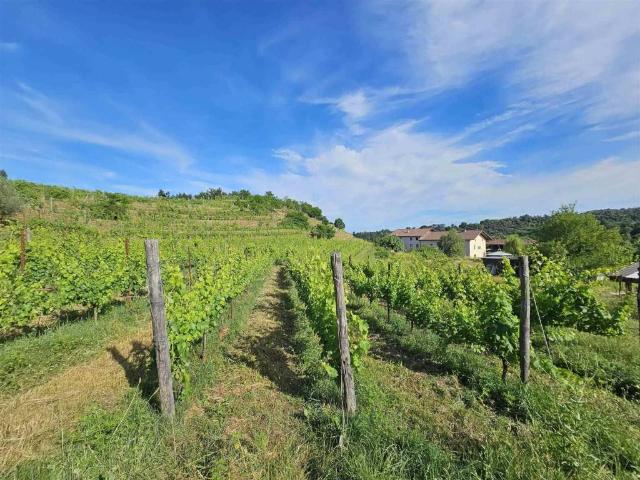 Villa Indipendente in vendita a Piemonte, Biella