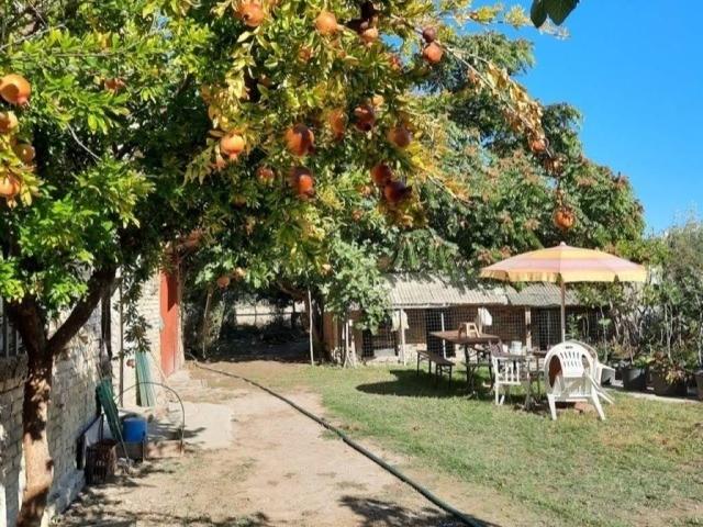 Villa Indipendente in vendita a Sentina, Marche