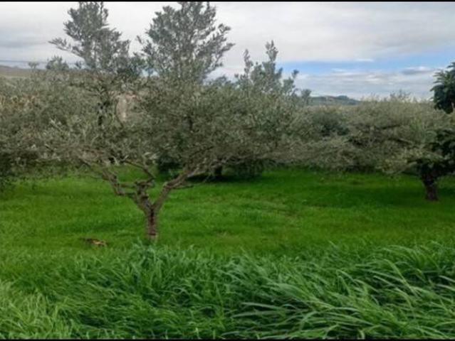 Villa Indipendente in vendita a Ragnola, Marche
