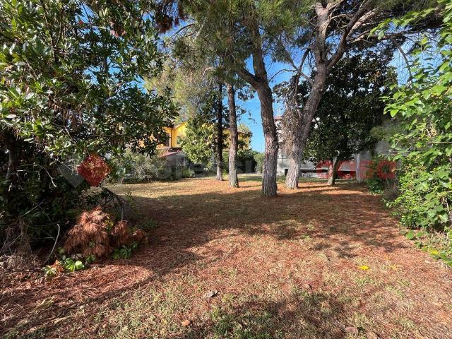 Villa Indipendente in vendita a San Bonifacio, Verona