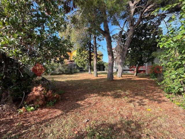 Villa Indipendente in vendita a San Bonifacio, Verona