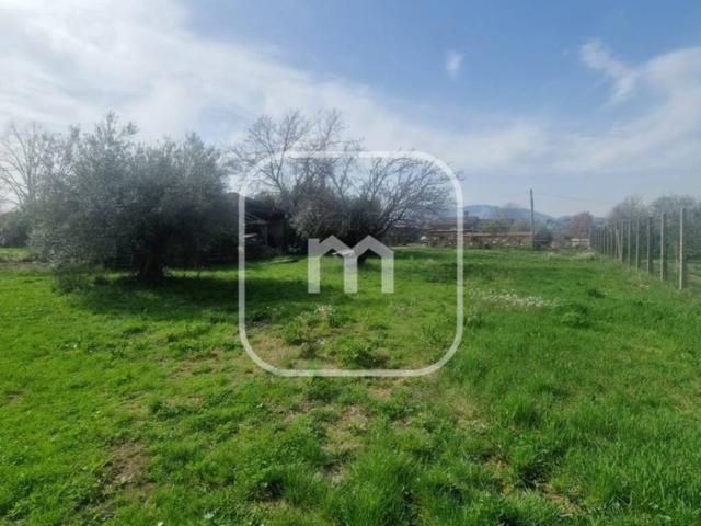 Villa Indipendente in vendita a Roma Capitale, Lazio