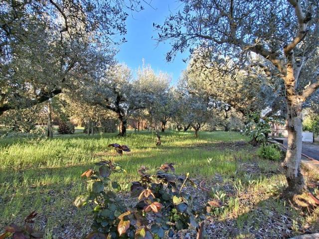 Villa Indipendente in vendita a Roma Capitale, Lazio