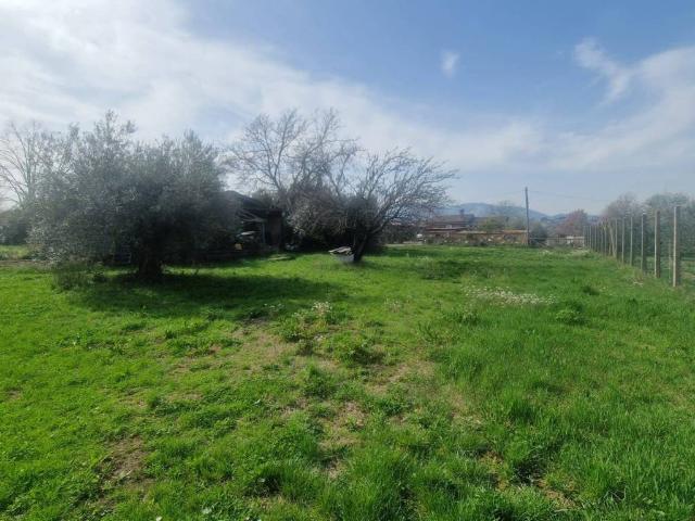 Villa Indipendente in vendita a Roma Capitale, Lazio