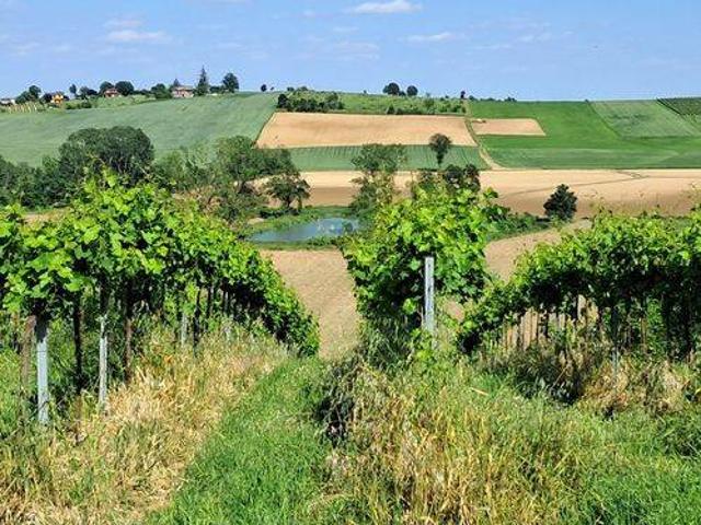 Villa Indipendente in vendita a San Damiano Al Colle, Lombardia