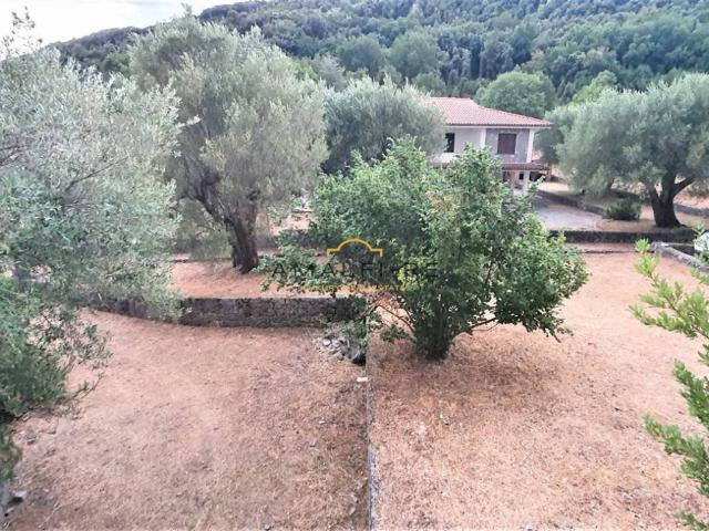 Villa Indipendente in vendita a San Giovanni A Piro, Campania
