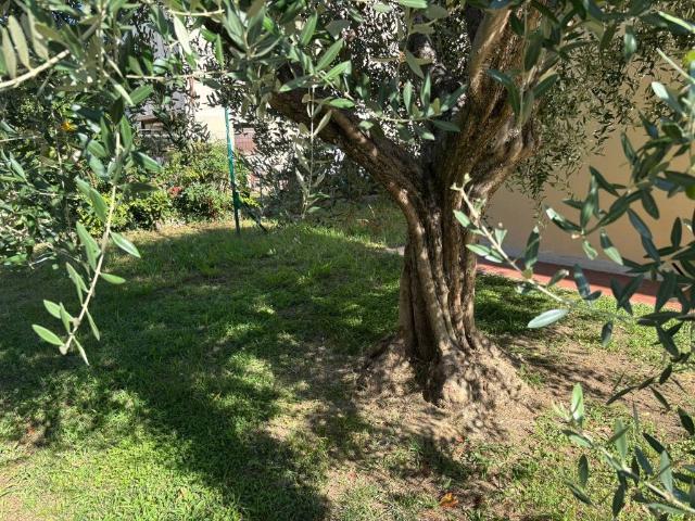 Villa Indipendente in vendita a Gello, San Giuliano Terme