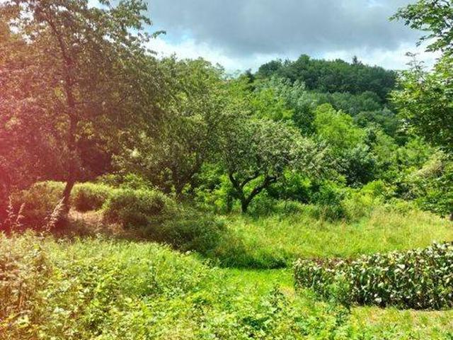 Villa Indipendente in vendita a Pistoia