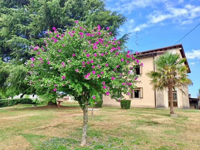 Villa Indipendente in vendita a San Martino Al Tagliamento, Friuli-Venezia Giulia