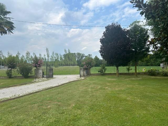 Villa Indipendente in vendita a San Martino Di Lupari, Veneto